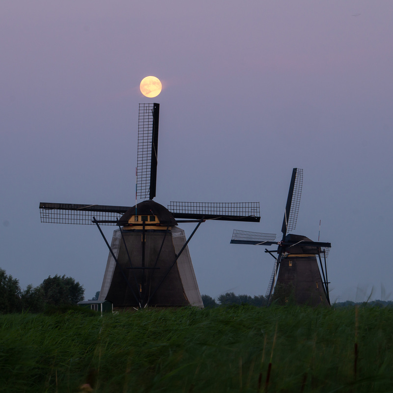Niederlande - Kinderdijk
