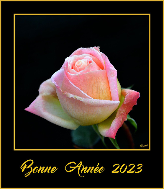 Bonne Année 2023 ...