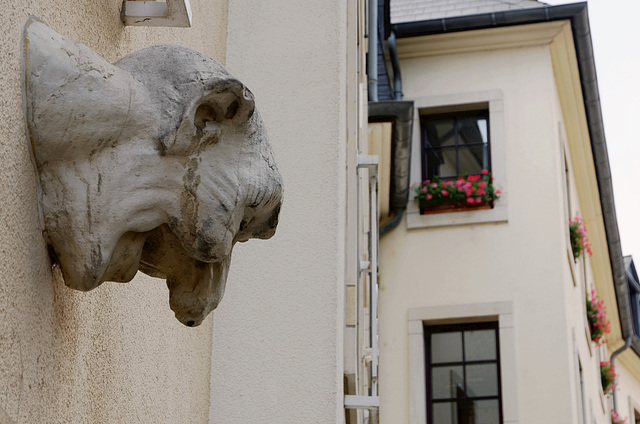 La tête dans le mur