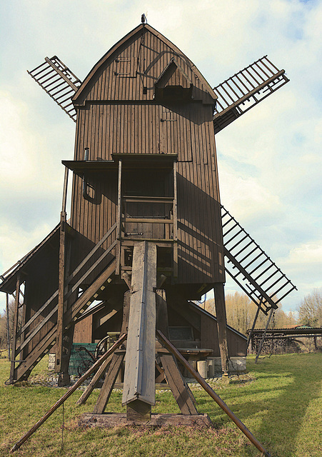 Bockwindmühle in Danstedt