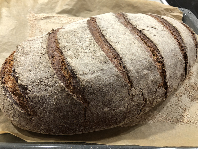 Frisch gebackenes Brot