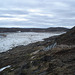 Petit pont de l'Artique / Small Artic footbridge