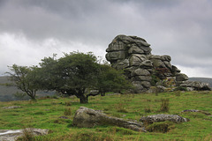 Vixen Tor, Dartmoor