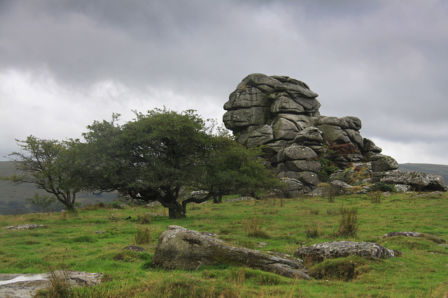 Vixen Tor, Dartmoor