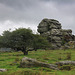 Vixen Tor, Dartmoor