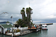 A view from the Pier