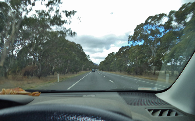 near the Grampians...