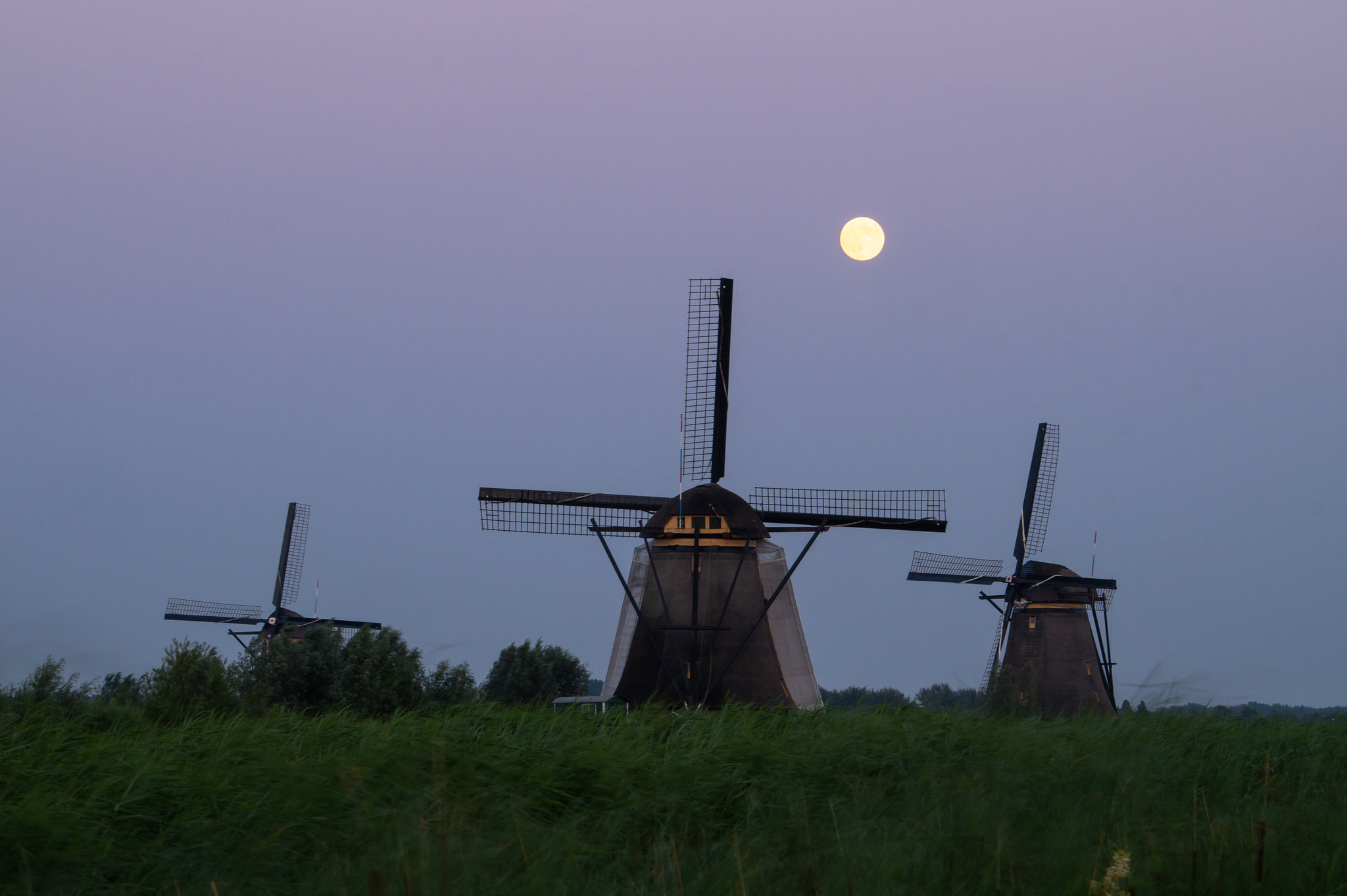 Niederlande - Kinderdijk