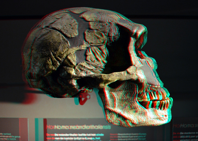 Naturalis Leiden 3D anaglyph