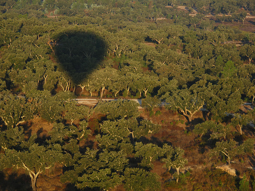 Balloon VI
