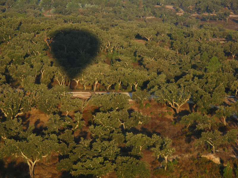Balloon VI