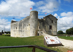 Le chateau de Saint-Jean d'Angle