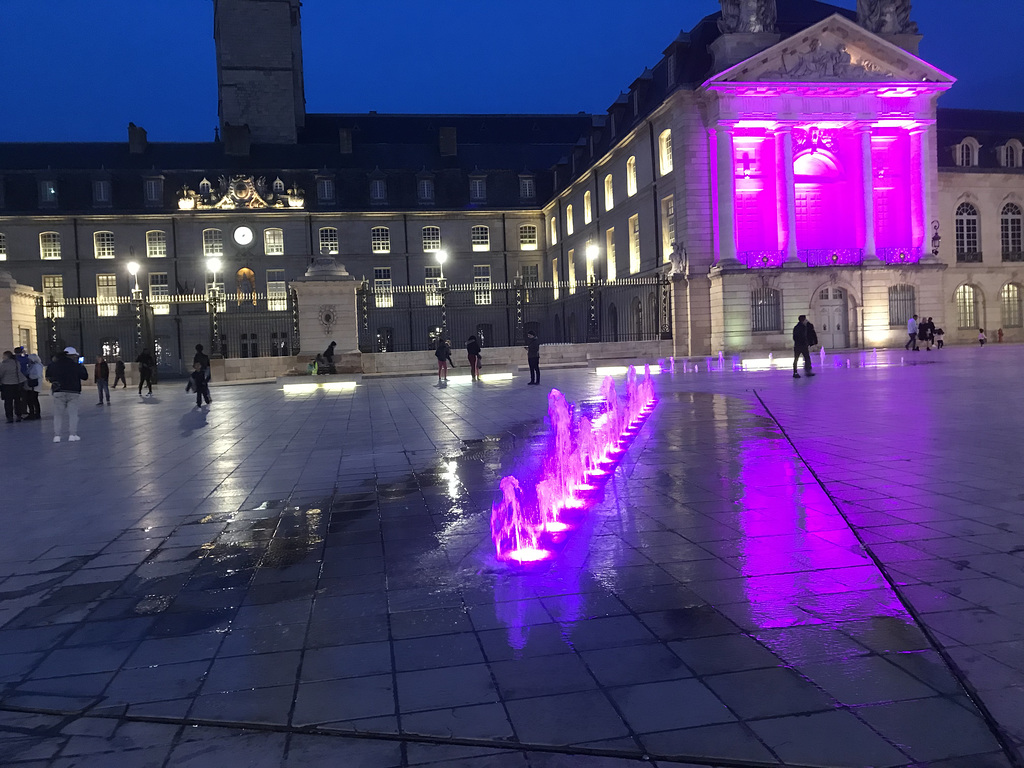 Dijon by night