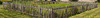 CWP banner 21/10