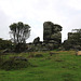 Vixen Tor, Dartmoor