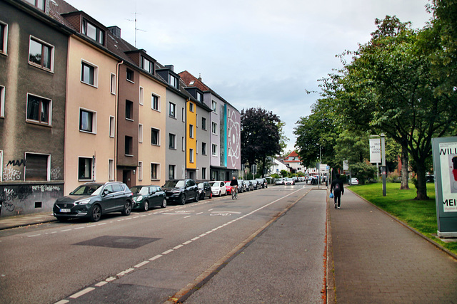 Kahrstraße (Essen-Südviertel) / 15.06.2024