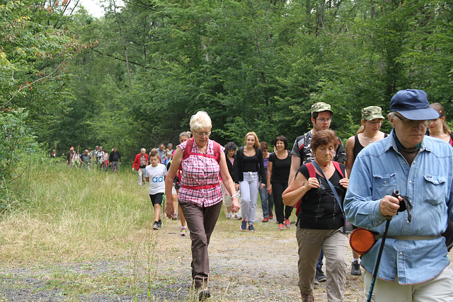 Randonnée Bombon-La Chapelle Gauthier-Bombon  - 20/06/2015