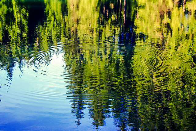 Circles on the Water