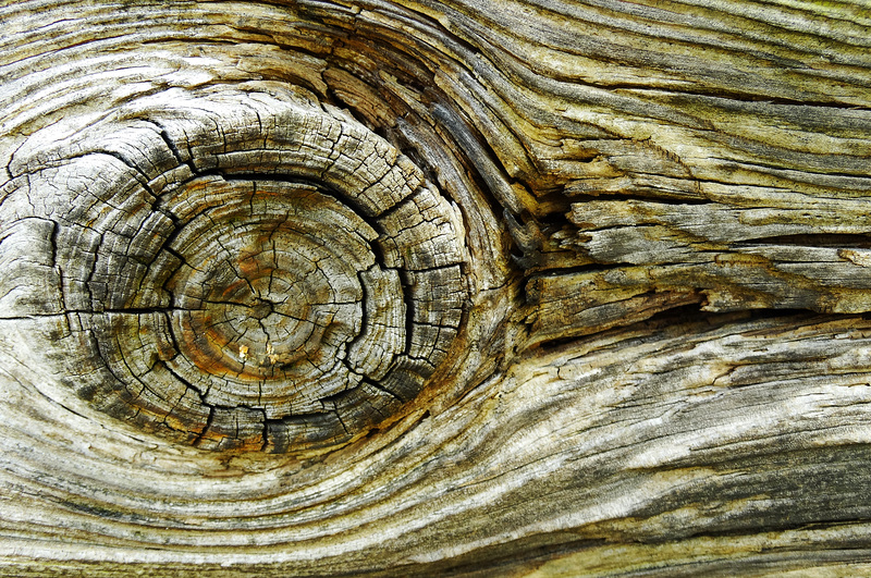 Wood 4