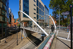 Manchester Curve