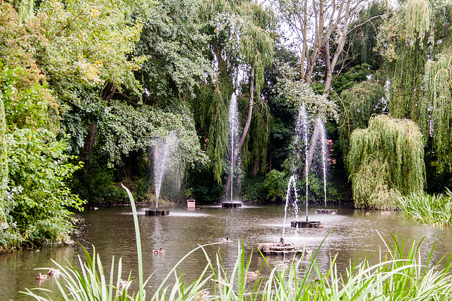 Fountains of Wisdom