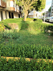 A small garden between Benfica's blocks - XVII