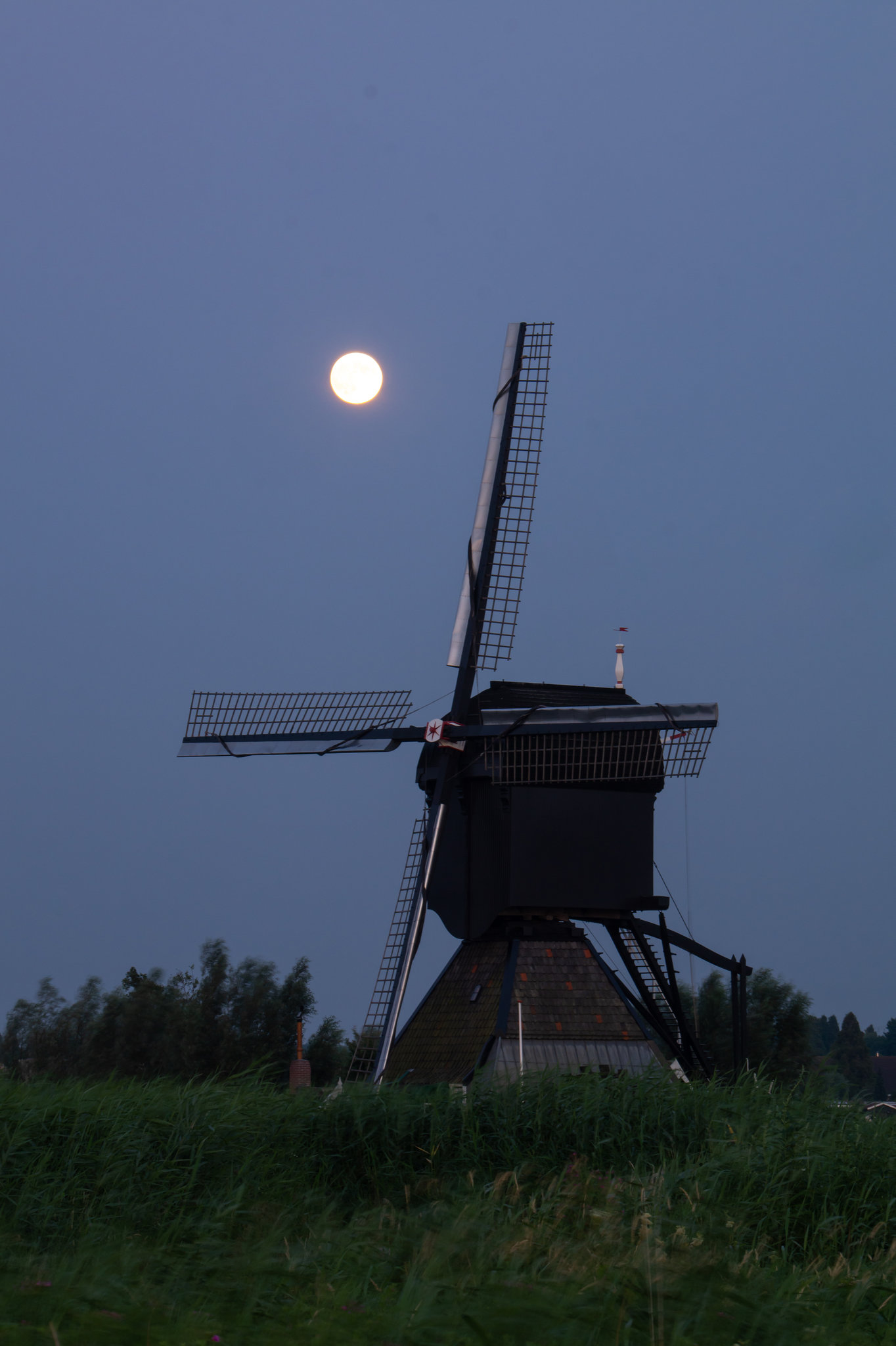 Niederlande - Kinderdijk