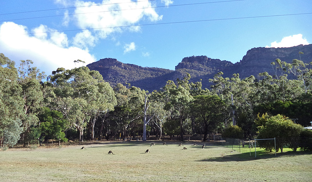 The Grampians!