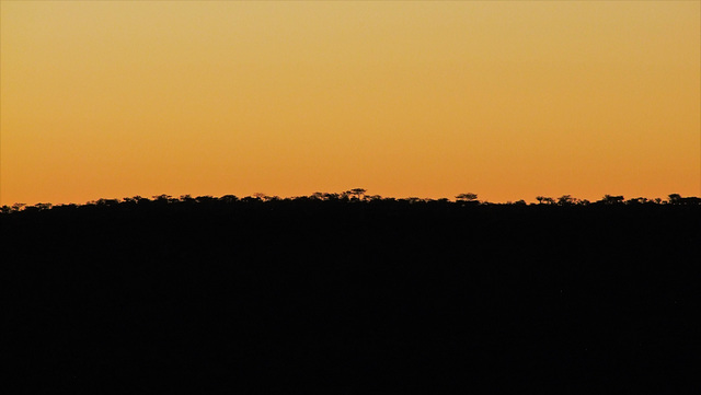 Afrikanischer Horizont