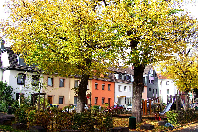 DE - Köln - Herbst am Markusplatz