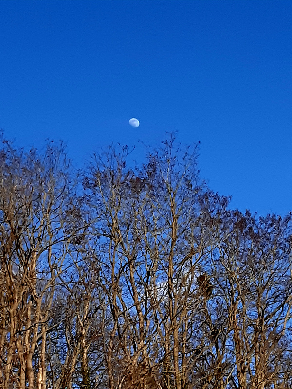 Bientôt le printemps
