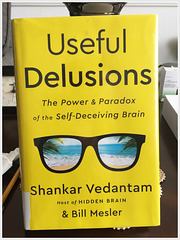 Useful Delusions