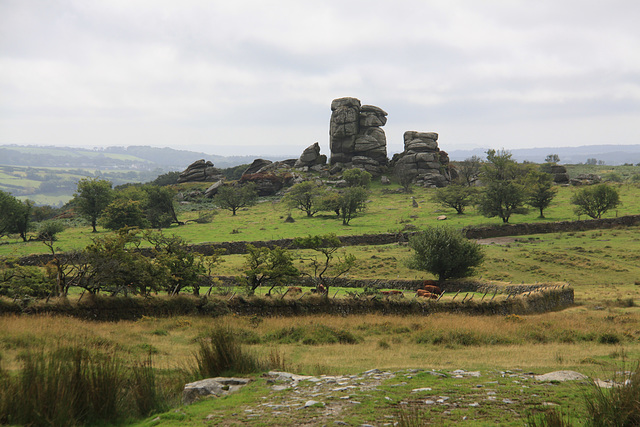 Vixen Tor, Dartmoor