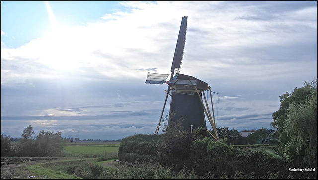 In the Hoekse Waard.