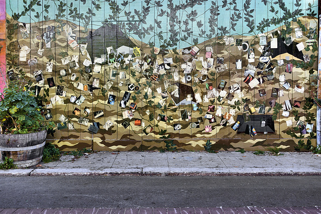 After the Storm – Balmy Alley, Mission District, San Francisco, California