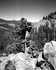 High Sierra