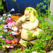 Gnome In The Flowers.