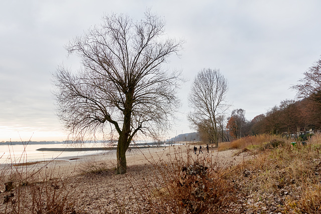 -elbstrand-02107-co-04-12-16