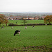 Fields near Dairy House Farm