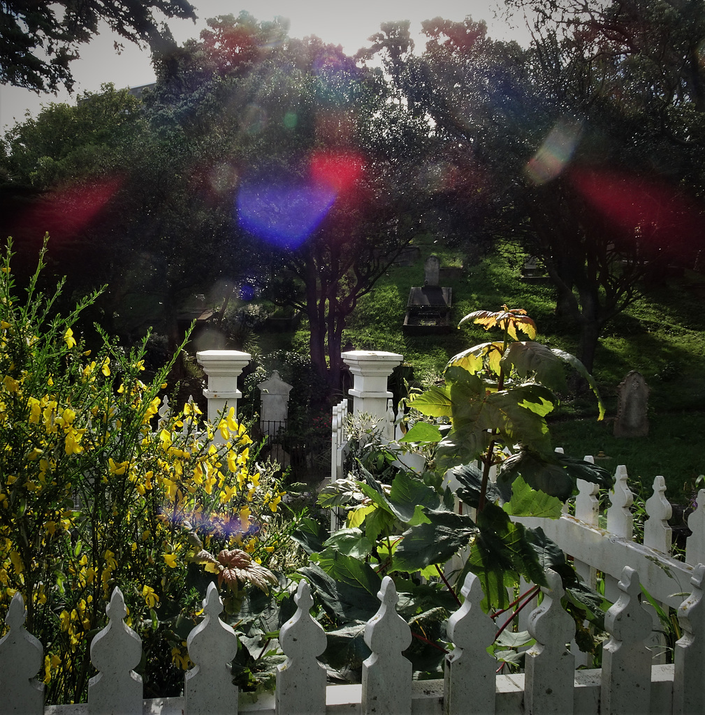 Mount Street Cemetery 4