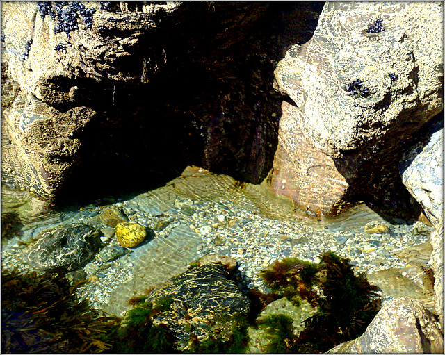 Rock pool, Godrevy