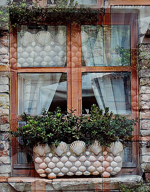 the shell window (Grado/Italy)