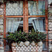 the shell window (Grado/Italy)