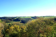 DE - Hellenthal - Herbstlandschaft bei Wildenburg