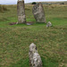 Merivale Stone Rows