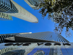 toronto 2023 cropped v2 toronto 2023 cropped v2