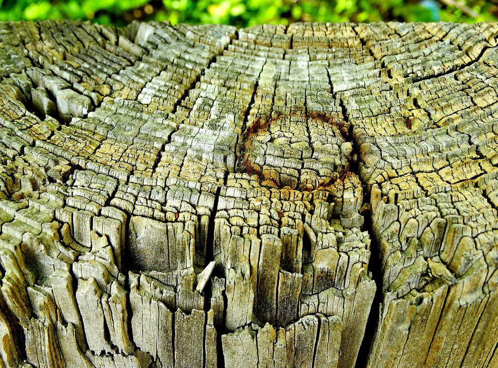 Wood 2