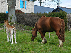 maman et moi,