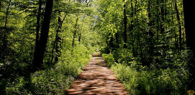 2016-05-07 07a Eo, Domholzschänke