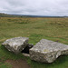 Merivale Stone Rows